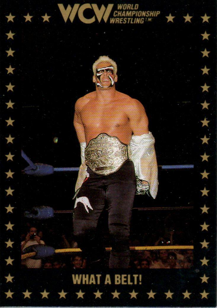 Sting WCW Wrestling Trading Card 1991 Wrestler AEW WWE HOF #54 | eBay