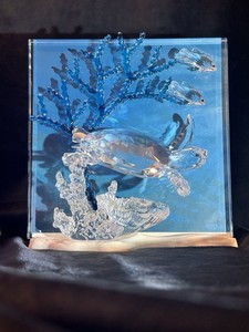 Swarovski Wonders of the Sea Eternity | eBay