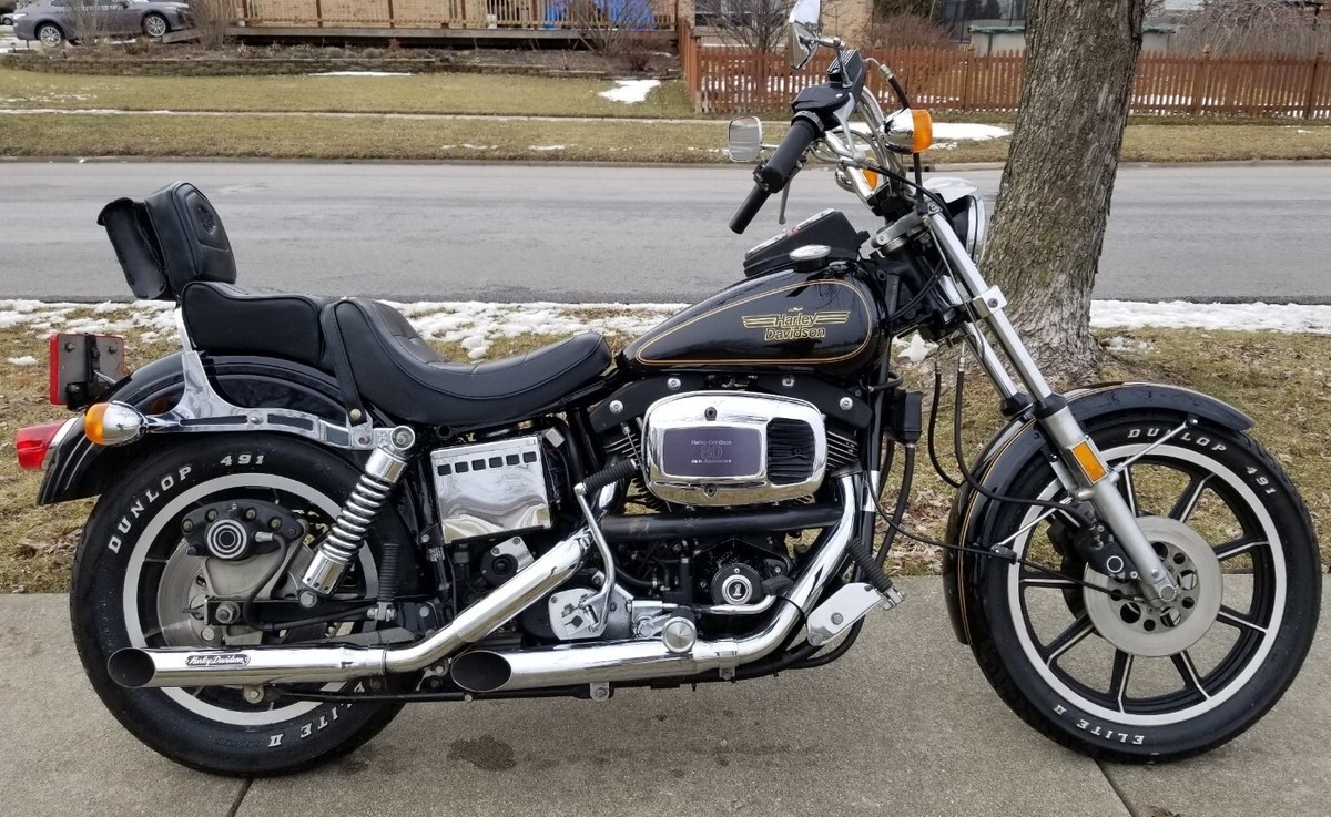 1981 AMF Harley-Davidson FXS Lowrider Decals | 6189981 | OE | Gold