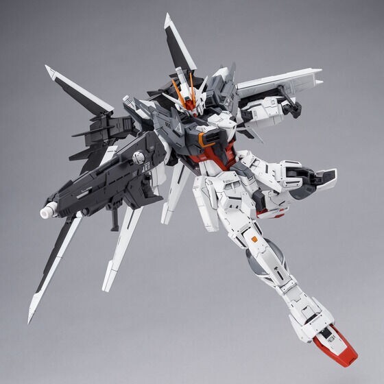 Premium Bandai MG 1/100 GUNDAM Ex IMPULSE Manfred's Mobile Suit