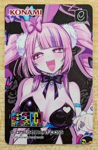 E Amusement Pass | eBay