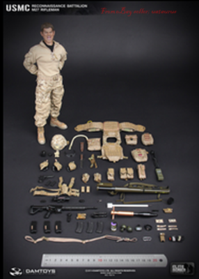 Perfect Damtoys 78014 1/6 Usmc Reconnaissance Battalion M27