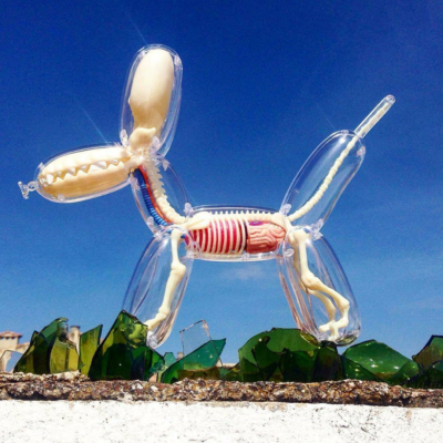 4D Master Jason Freeny Anatomy Transparency Balloon Dog 26PCS Art
