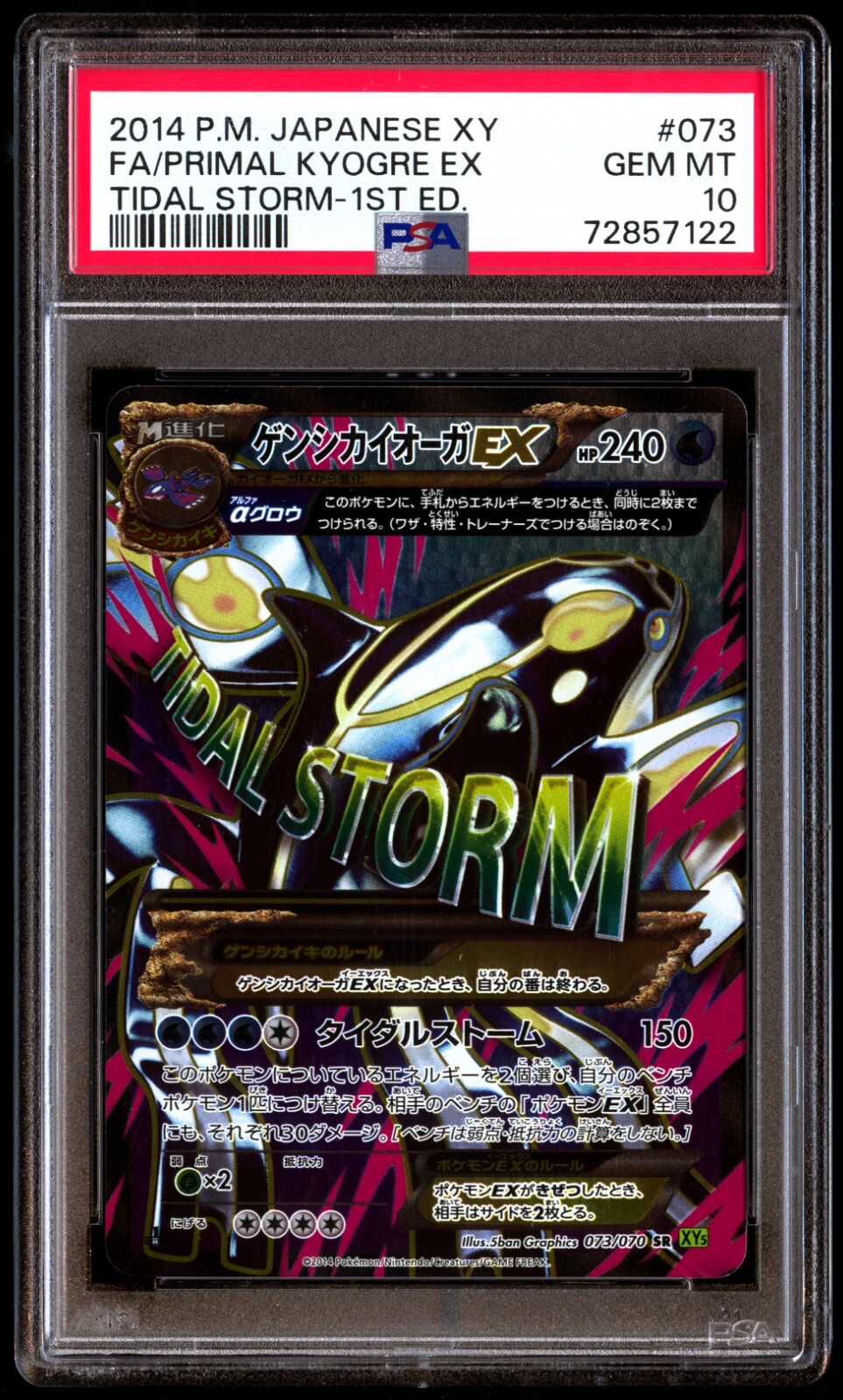 PSA10カイオーガV ジム プロモ 296 KYOGRE V PROMO PSA10 カイオーガV
