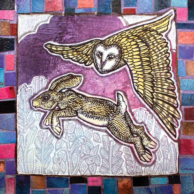 Rosy Maple Moth Canvas Wall Art by Lynnette Shelley | iCanvas