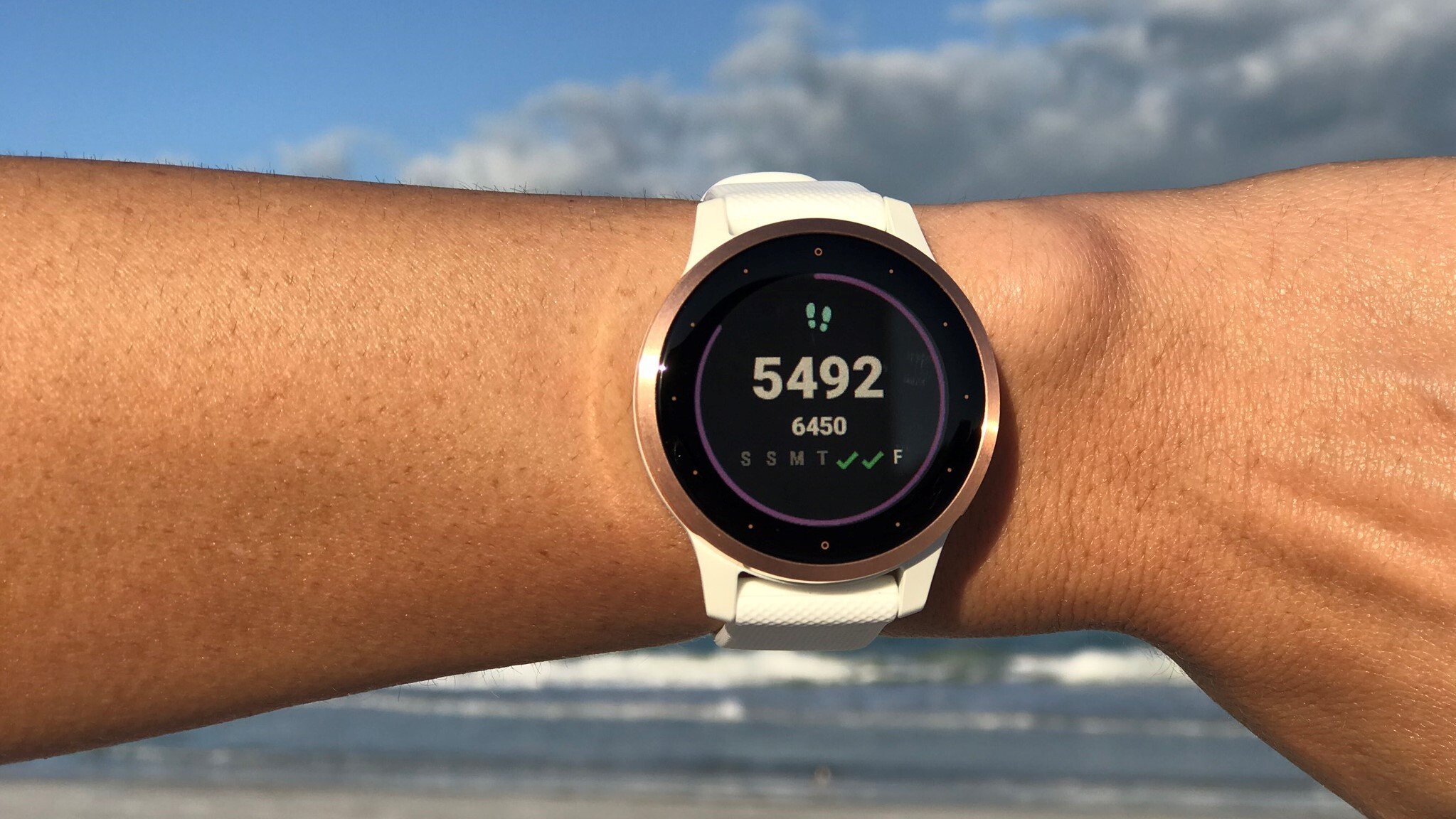 Garmin Vivoactive 4 Review | PCMag