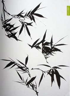 20 个Four gentlemen 梅兰竹菊点子| 中国艺术, 艺术, 日本绘画