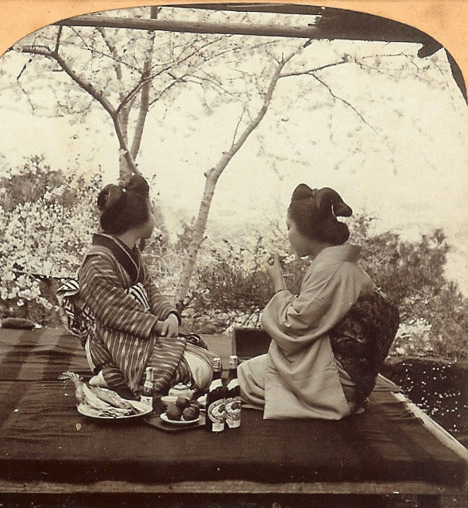 明治時代の3D立体写真（写真20枚） ｜ NETACE（跡地）