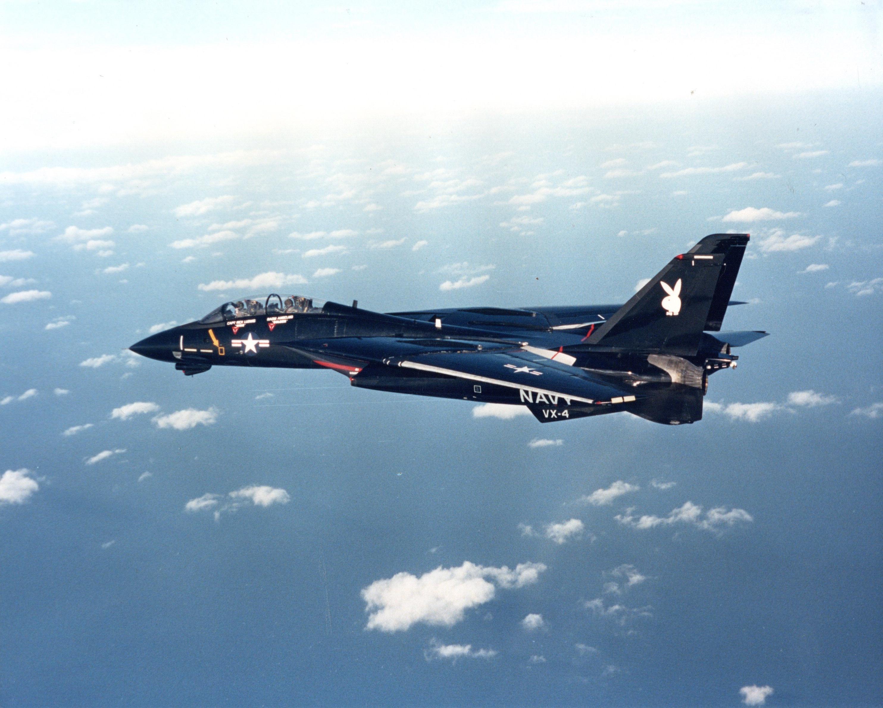 Fantastic shot of an F-14A of VX-4 in Black Bunny livery. : r/aviation
