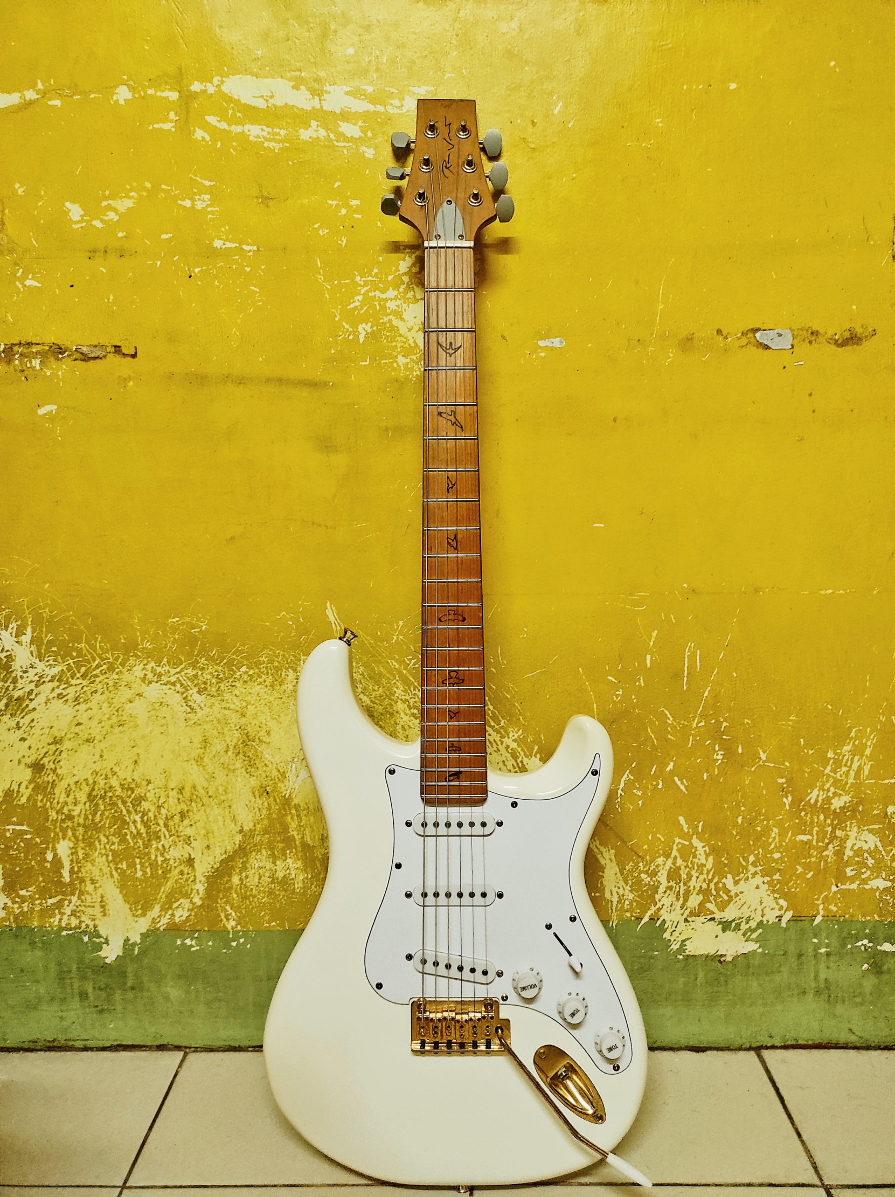 A Silver Sky Inspired Guitar. : r/Stratocaster