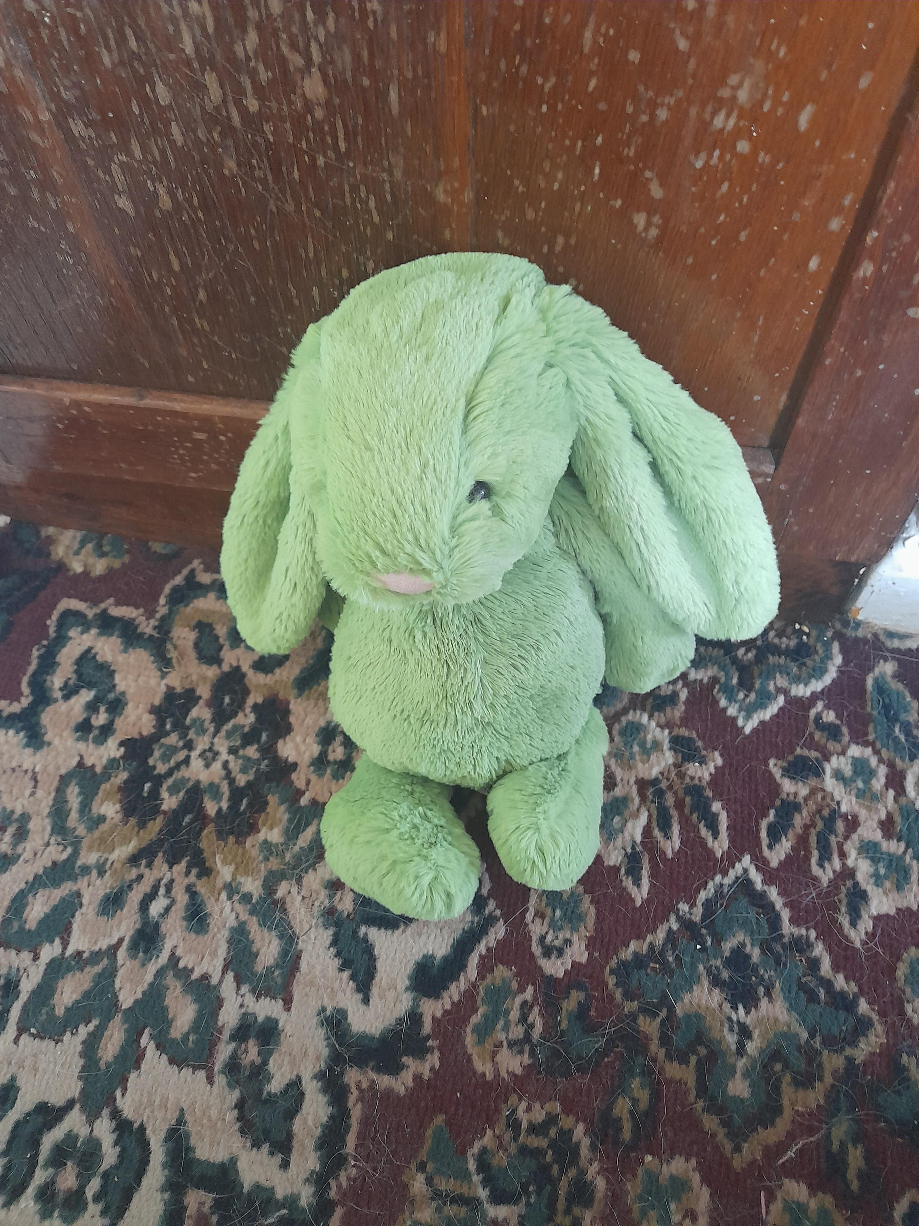 New Bashful Apple Bunny! : r/Jellycatplush