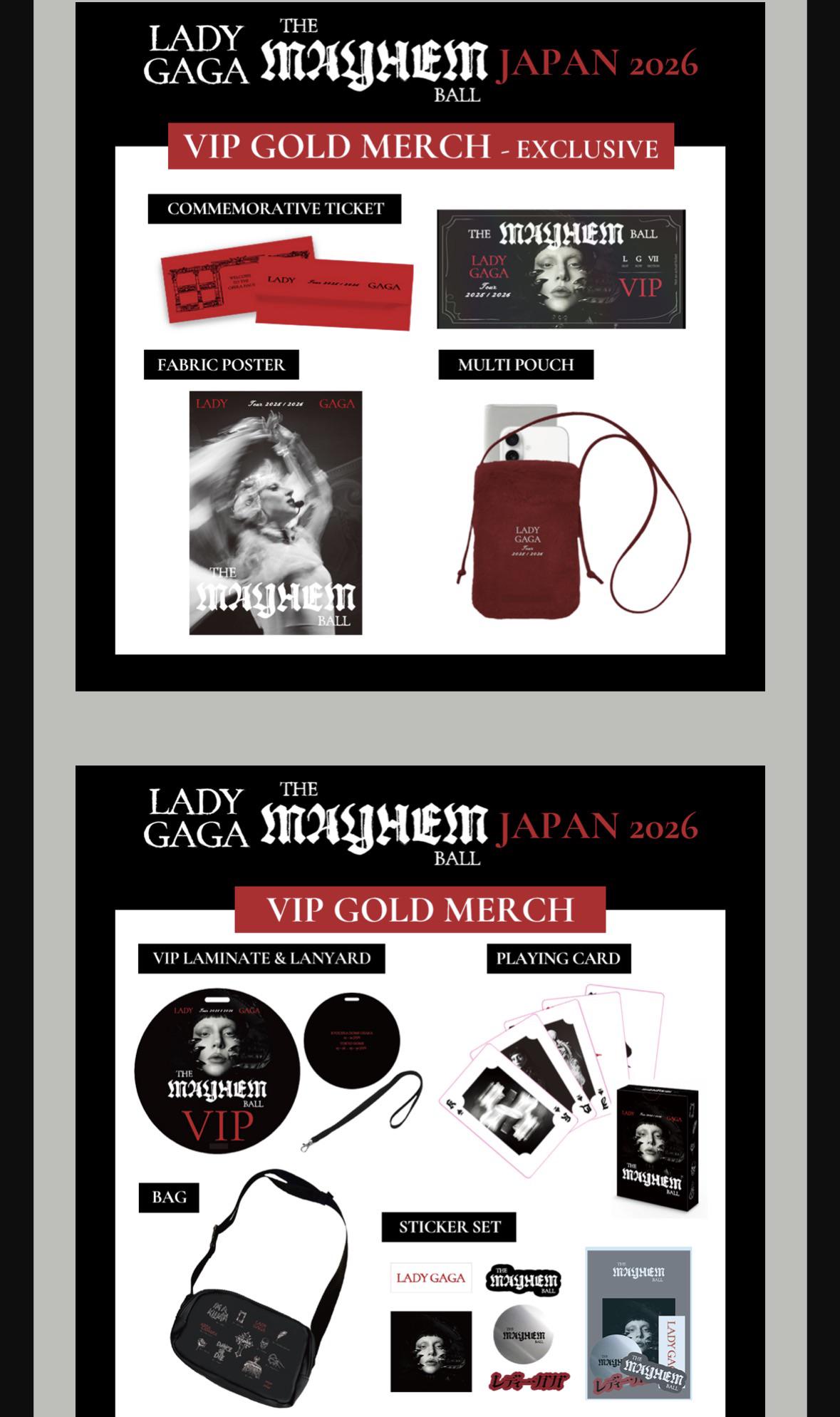 VIPグッズ…マジかよ？ : r/LadyGaga