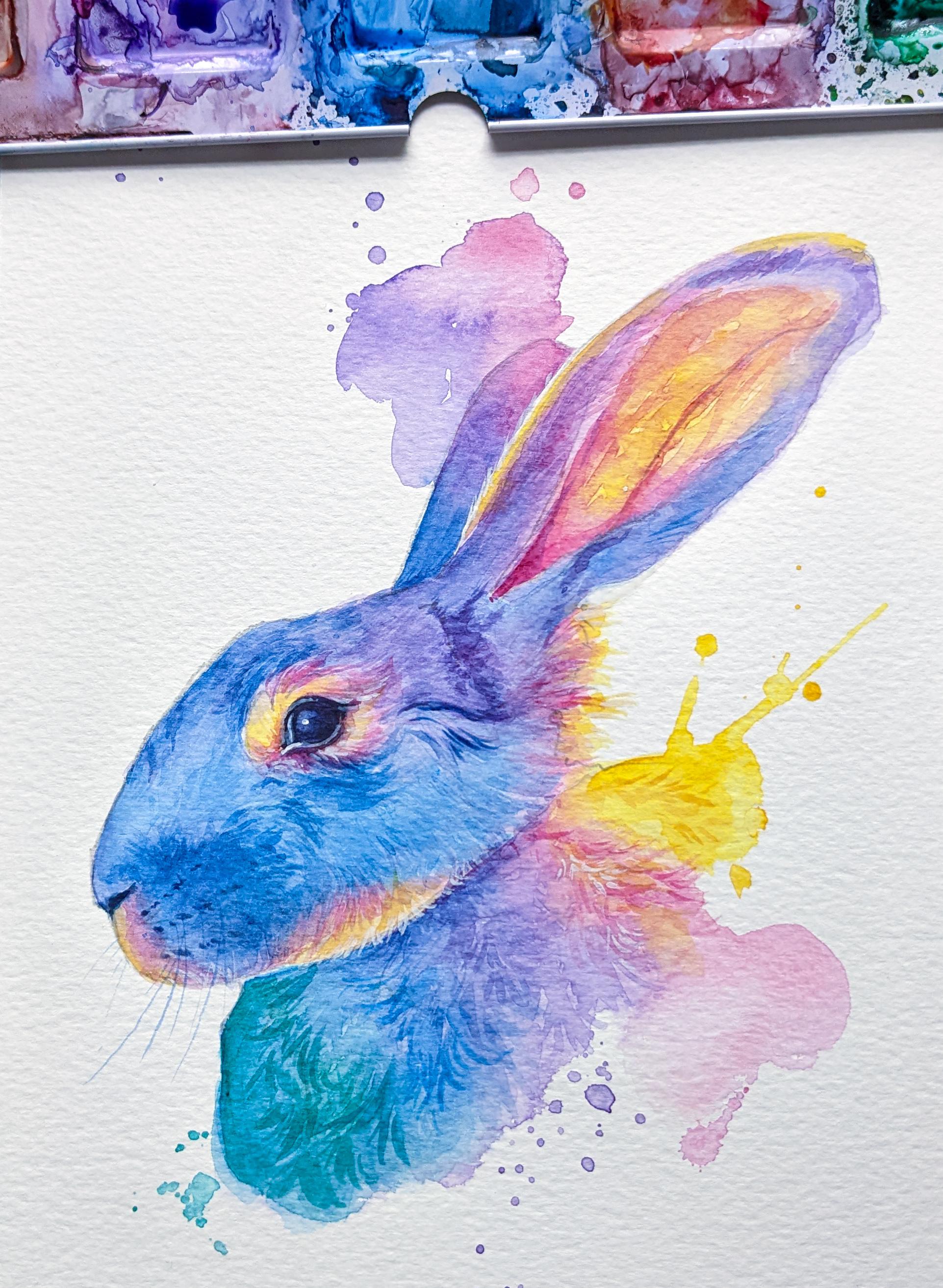 Benjy the rabbit for a friend! Winsor&Newton professional colours