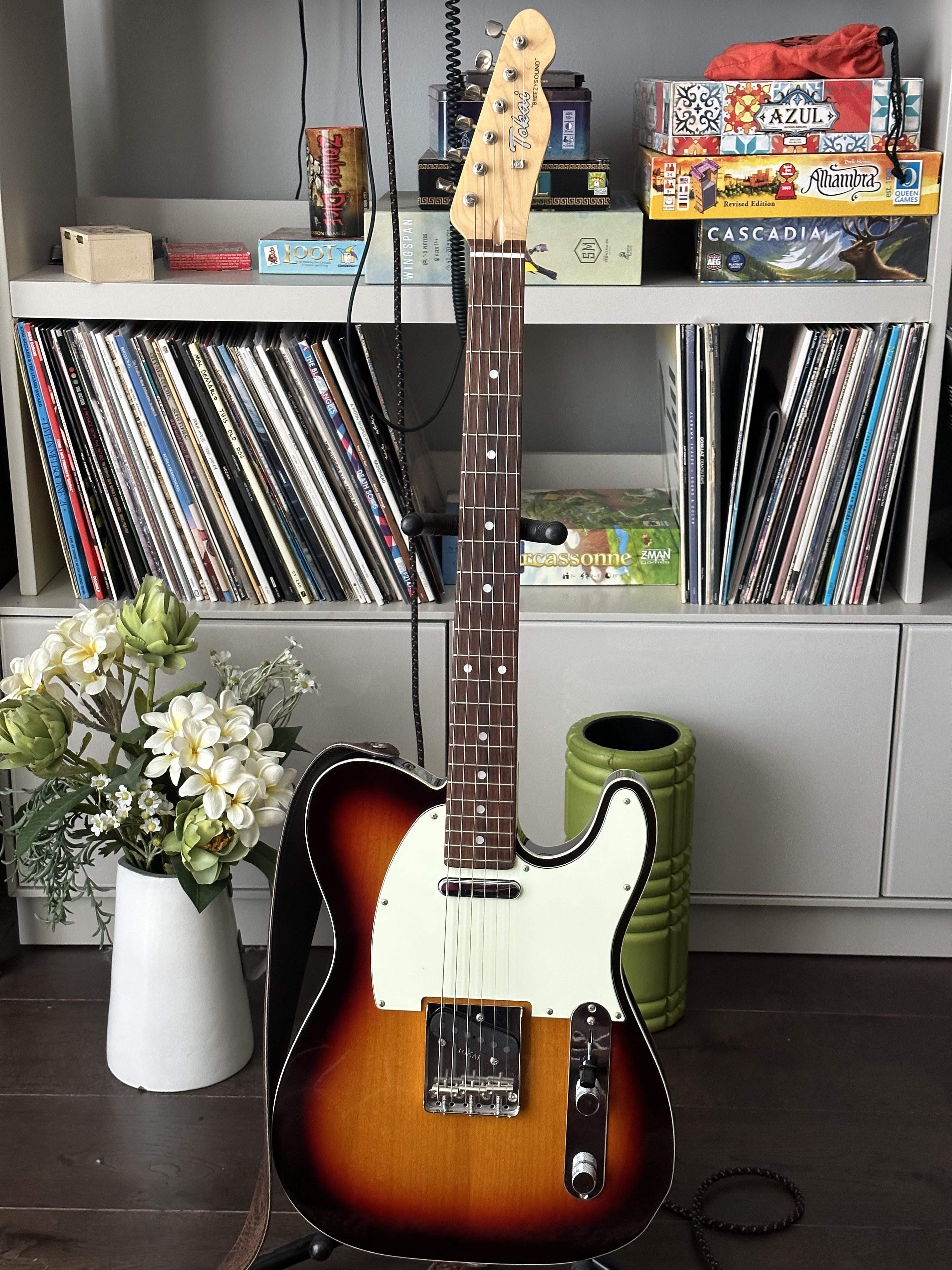 新しいギターの日 Tokai Breezysound : r/telecaster