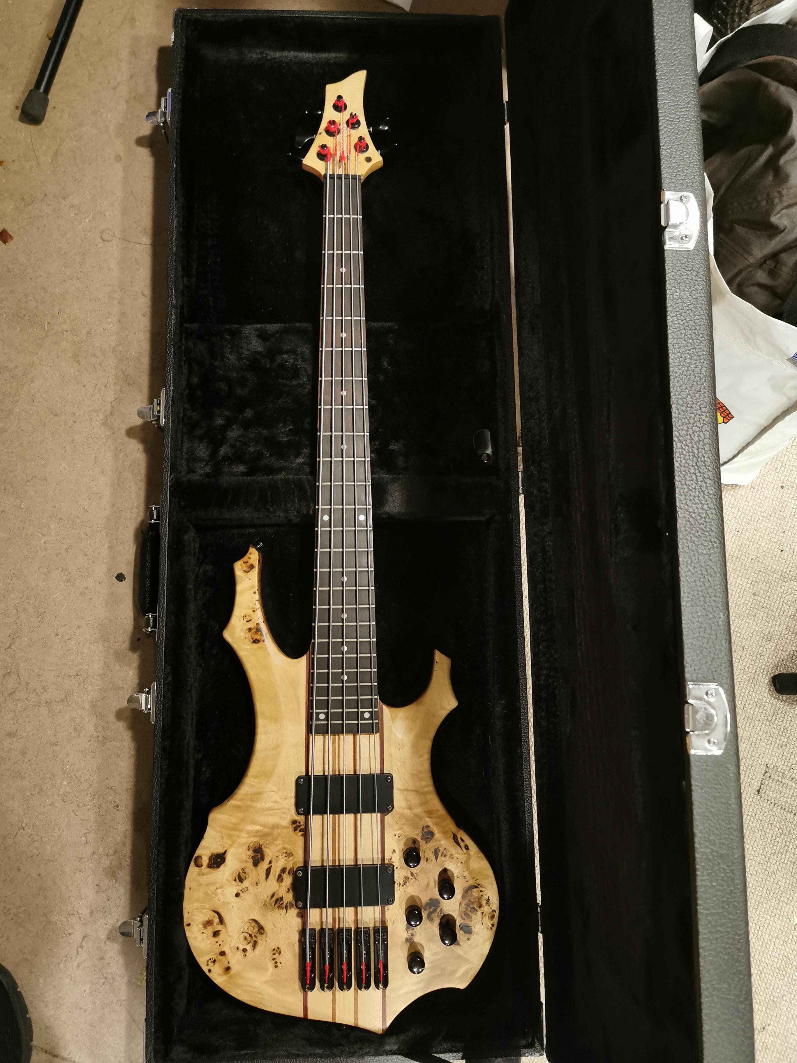 NBD ESP Grassroots 5s : r/BassGuitar