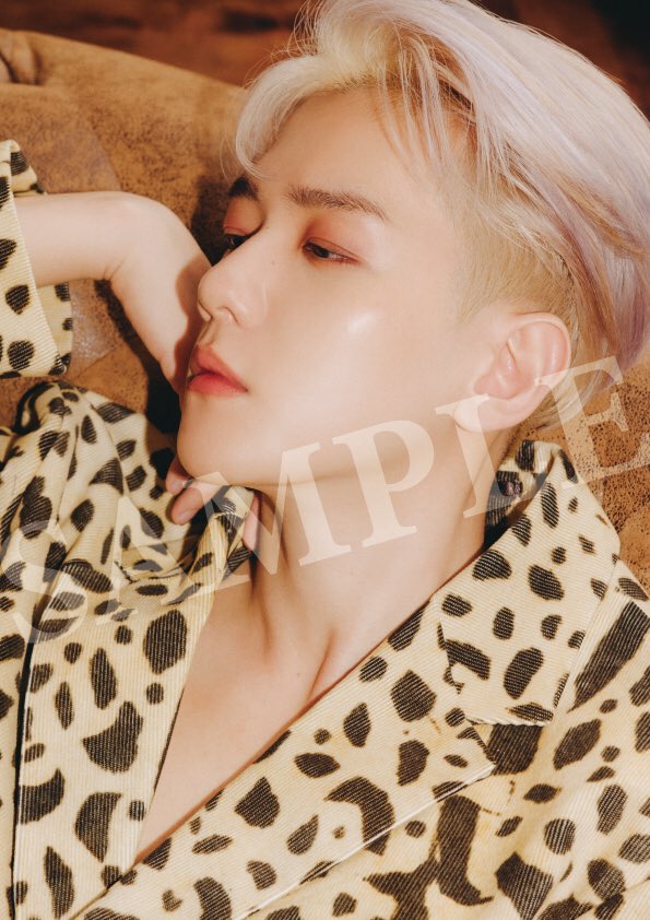 Baekhyun (EXO) - Japan 1st Mini Album 「BAEKHYUN」 (A4 Photocard