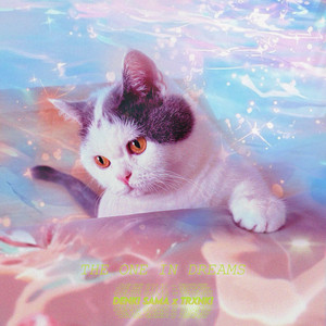 Moonlight Romance - Single by DENKI SAMA | Spotify