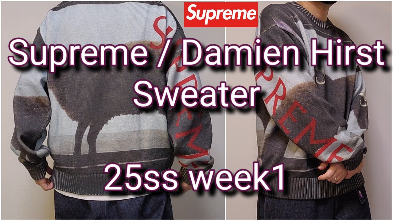 Supreme / Damien Hirst Sweater 25ss week1 シュプリーム ダミアン