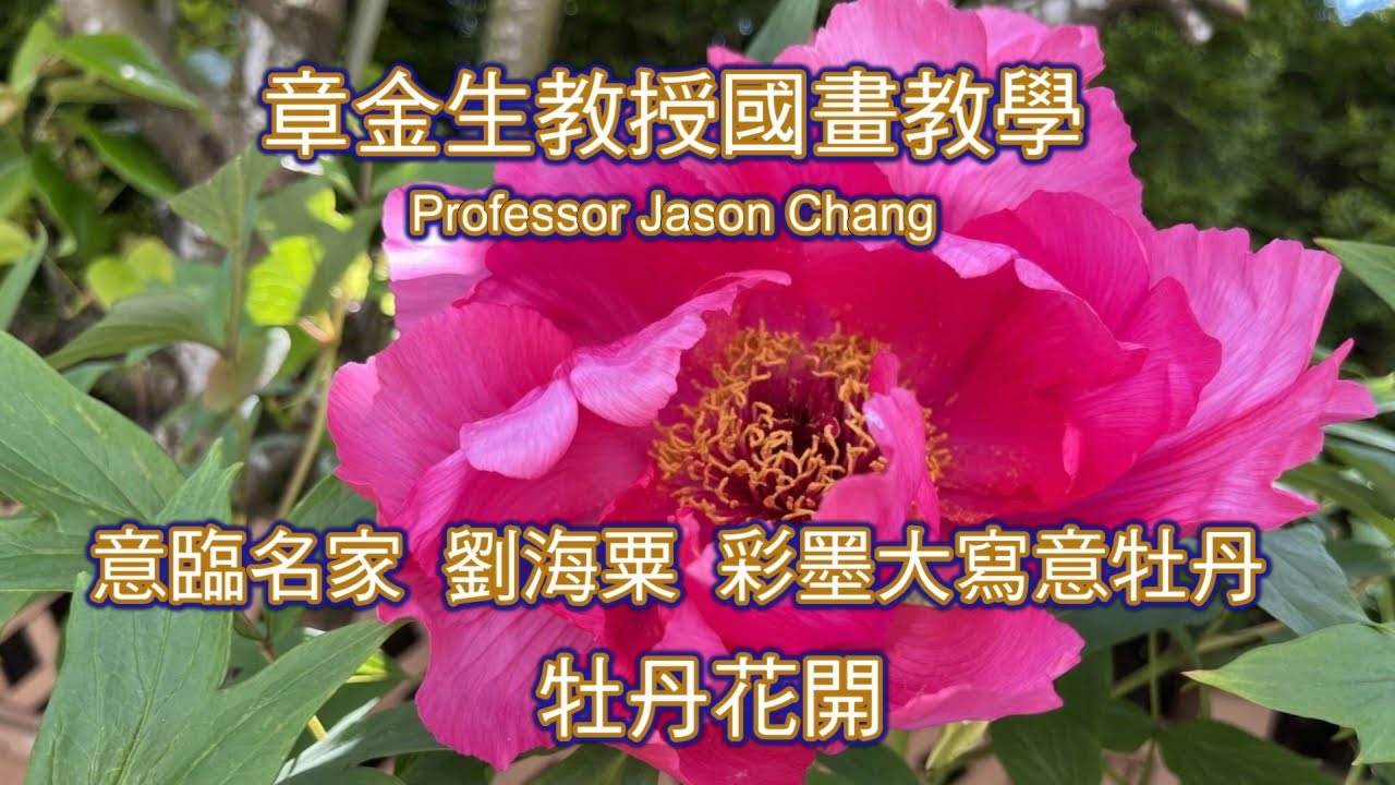 章金生教授國畫教學牡丹花開特集(二): 意臨名家劉海粟採墨大寫意牡丹