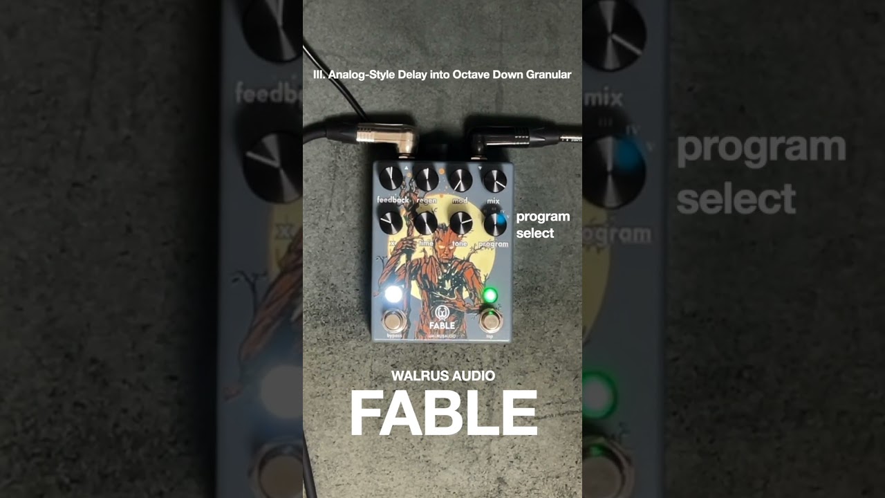 WALRUS AUDIO ”FABLE” / 神秘的グラニュラーディレイ #shorts #ambient
