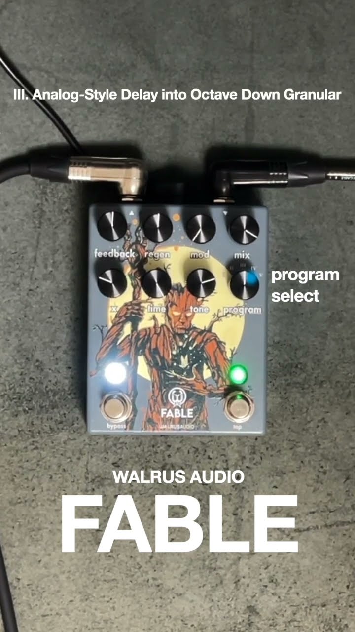 WALRUS AUDIO ”FABLE” / 神秘的グラニュラーディレイ #shorts #ambient