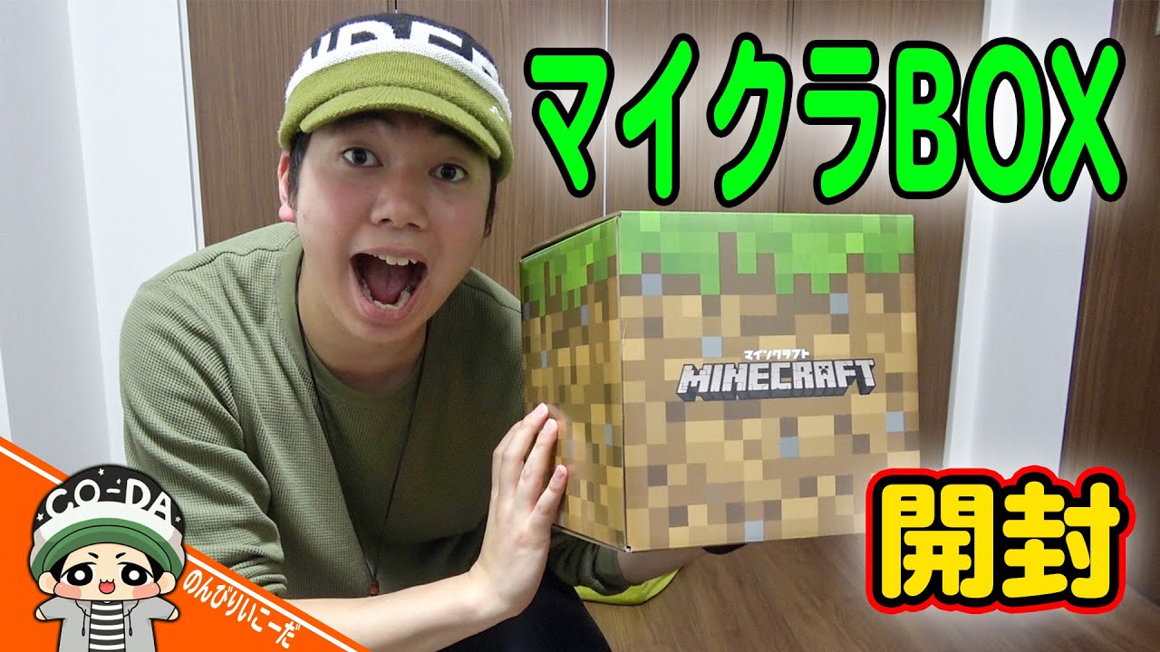 Minecraft 10th Anniversary] The contents of the Minecraft Mystery