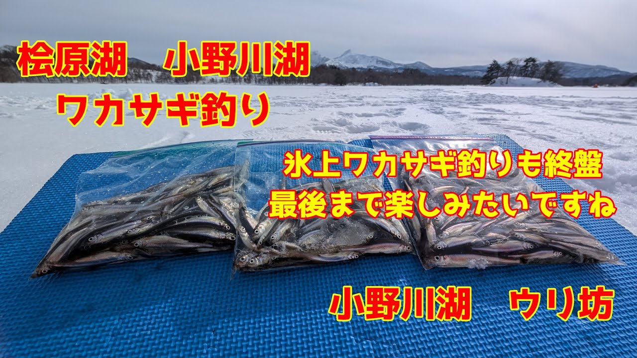 March 8, 2025, Lake Onogawa, Smelt fishing from an ice tent. How