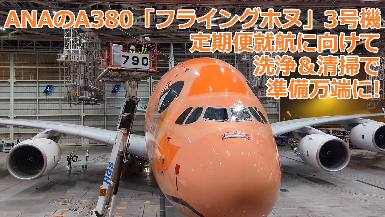 ANAのA380「フライングホヌ」3号機 定期便就航に向けて洗浄＆清掃で