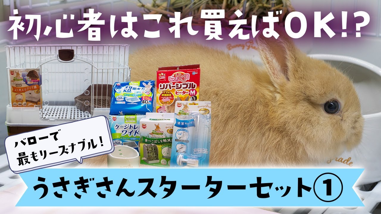 うさぎスターターセットのご紹介 | ホームセンターバロー