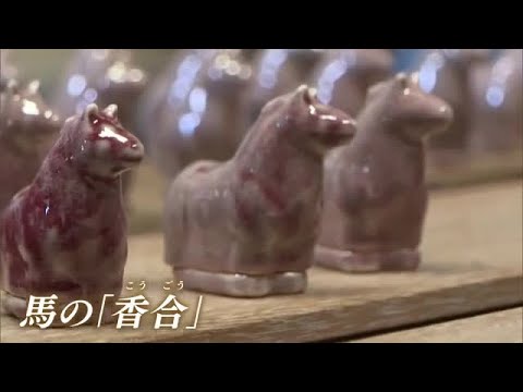 柔らかさの中に見える隆々とした筋肉…倉敷市で26年の干支「午」を