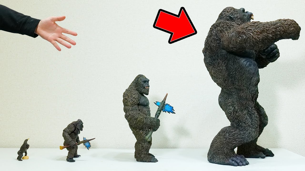 Extra-large Kong has arrived [Godzilla vs. Kong] Gigantic Series