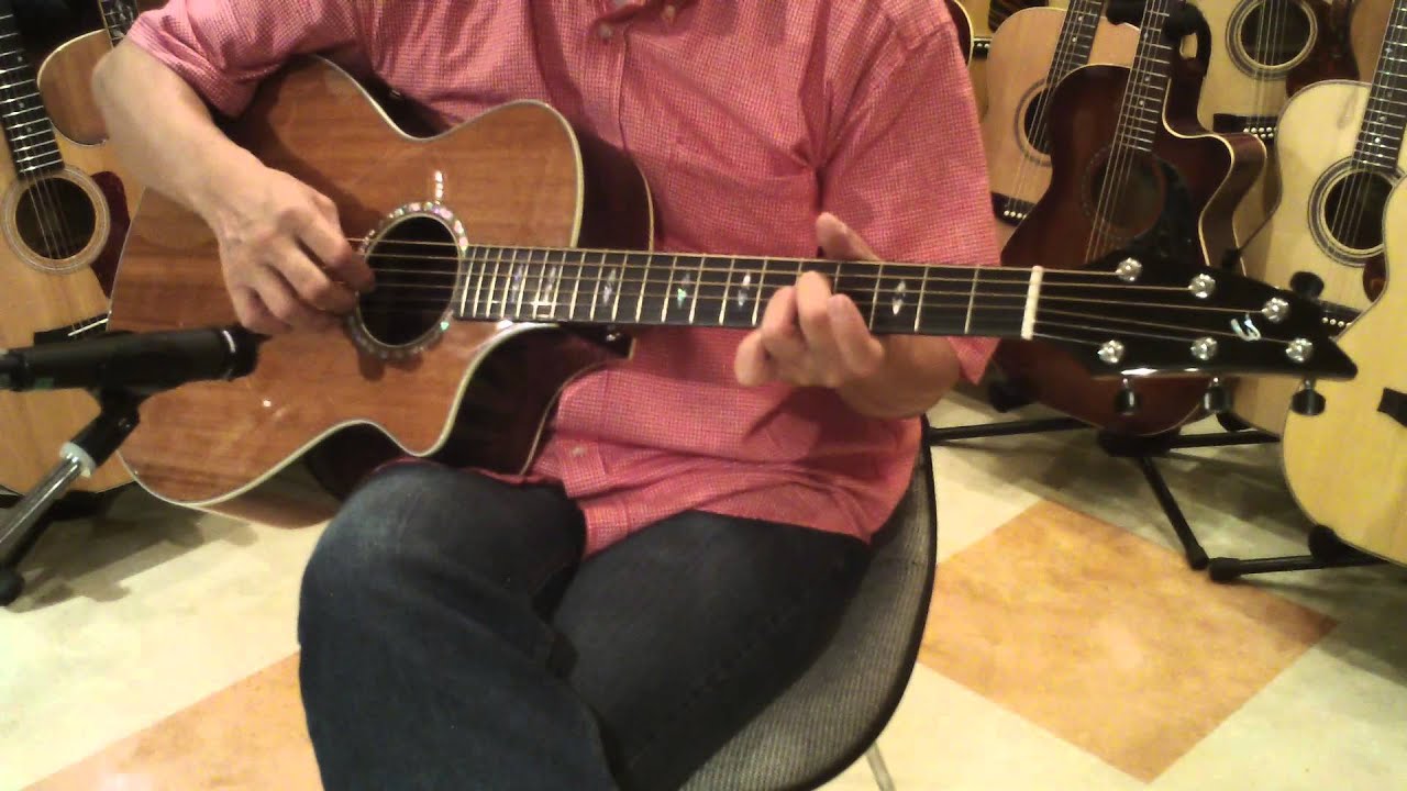 Breedlove Focus SE|ドルフィンギターズ