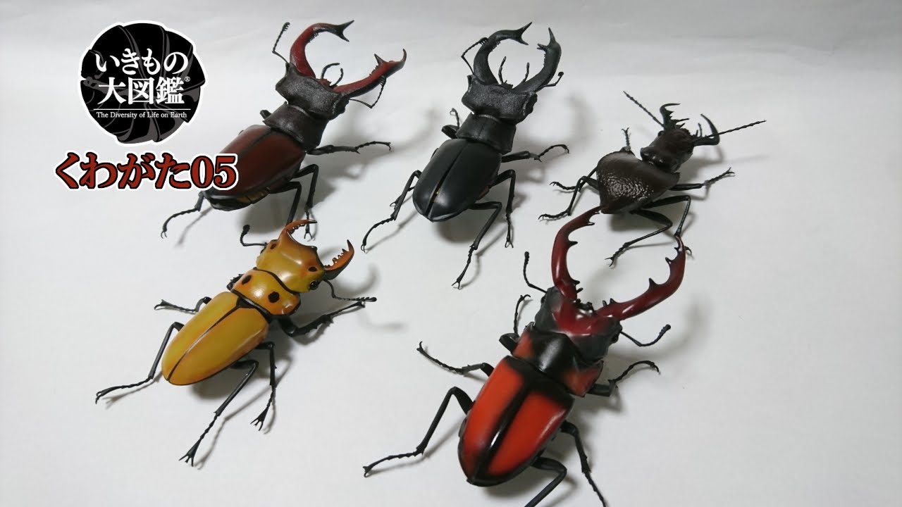 オオエンマハンミョウが意外と可愛い いきもの大図鑑「くわがた05」全5