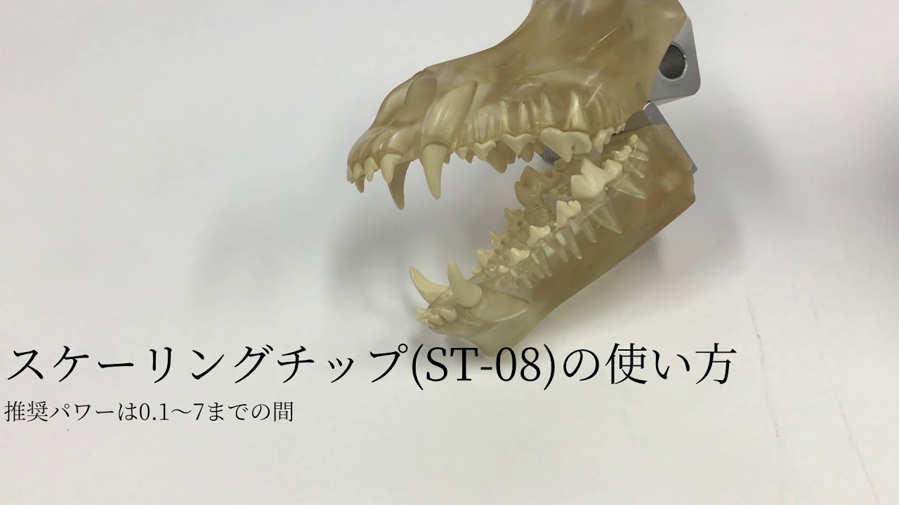 超音波スケーラー】エナック11WV｜長田電機工業｜獣医科用医療機器