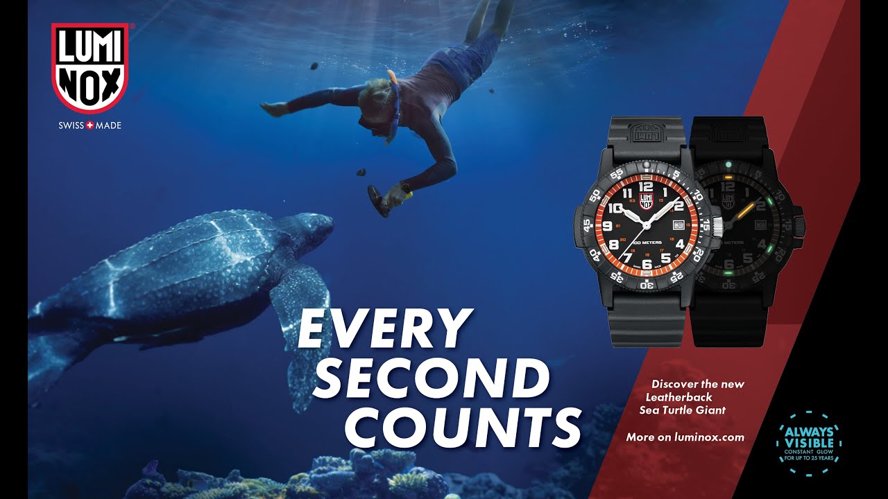 LEATHERBACK SEA TURTLE GIANT 0320 SERIES Ref.0325 - LIBERTA ONLINE