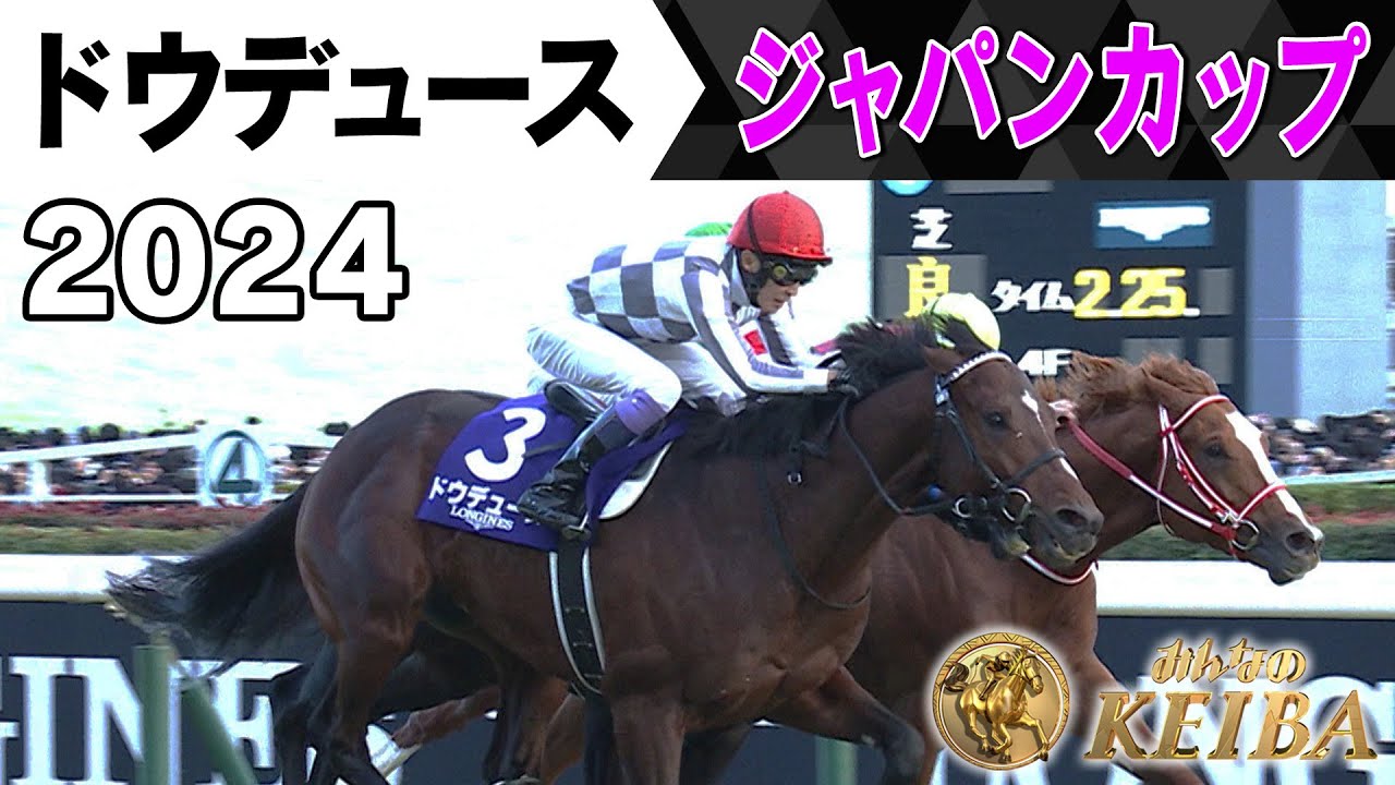 みんなの有馬記念 ドウデュースの軌跡】#12 2024年 ジャパンカップ