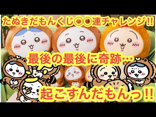 Chiikawa] Chiikawa Watanuki Lottery!! First day super fast 20