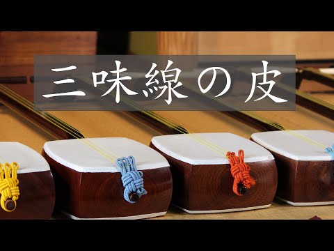The True Value of the Shamisen (2) 
