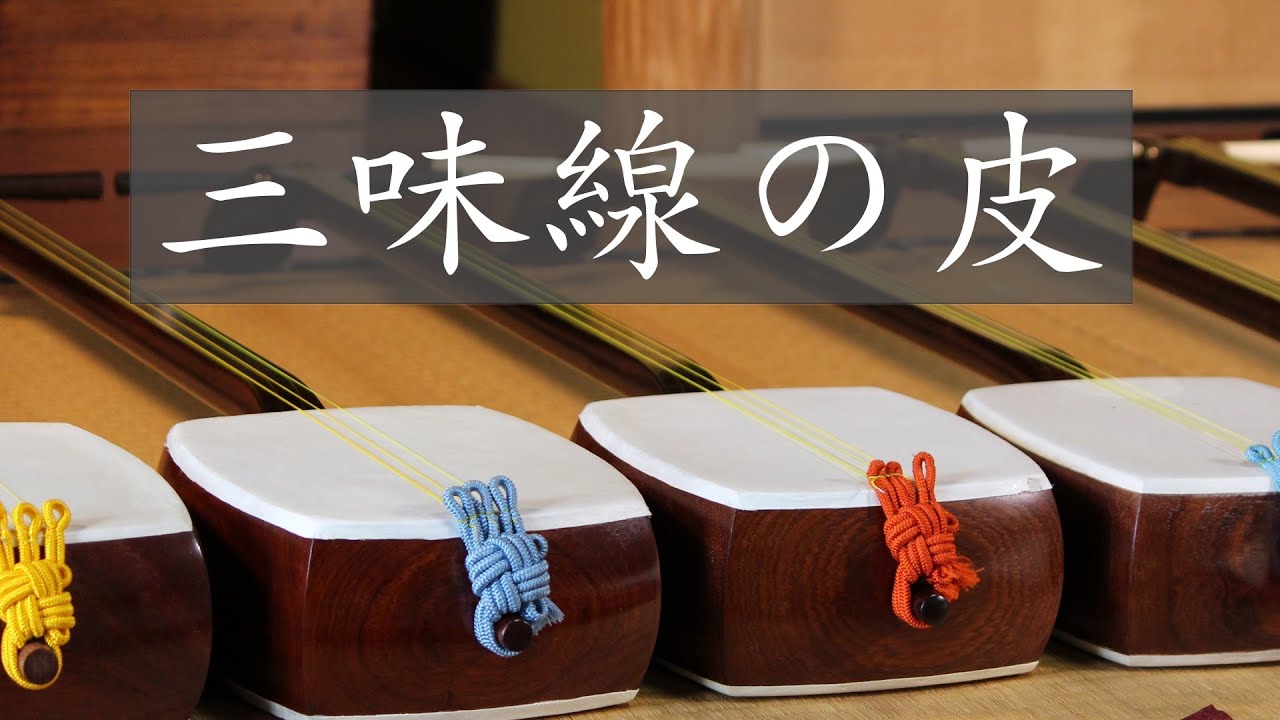 三味線の基礎知識 初心者、独学、調弦などの演奏や弾き方の教科書から