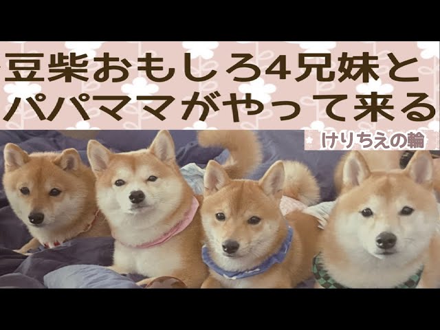 Special Program] The 2nd Keri Chie no Wa ~Welcome! The four funny