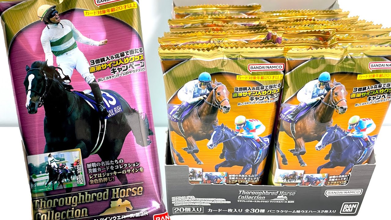 Thoroughbred Horse Collection Twin Wafers Race 3 