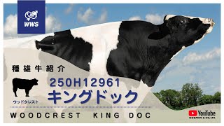 好タイプ&高能力ブル】250H12961 キングドック - YouTube