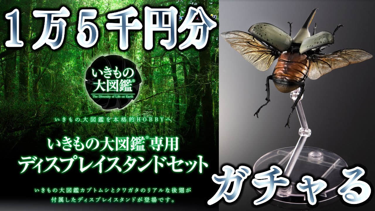 オンラインガチャで15,000円分回してみた！いきもの大図鑑 専用
