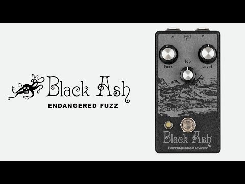 EarthQuaker Devices Black Ash Endangered Fuzz - YouTube