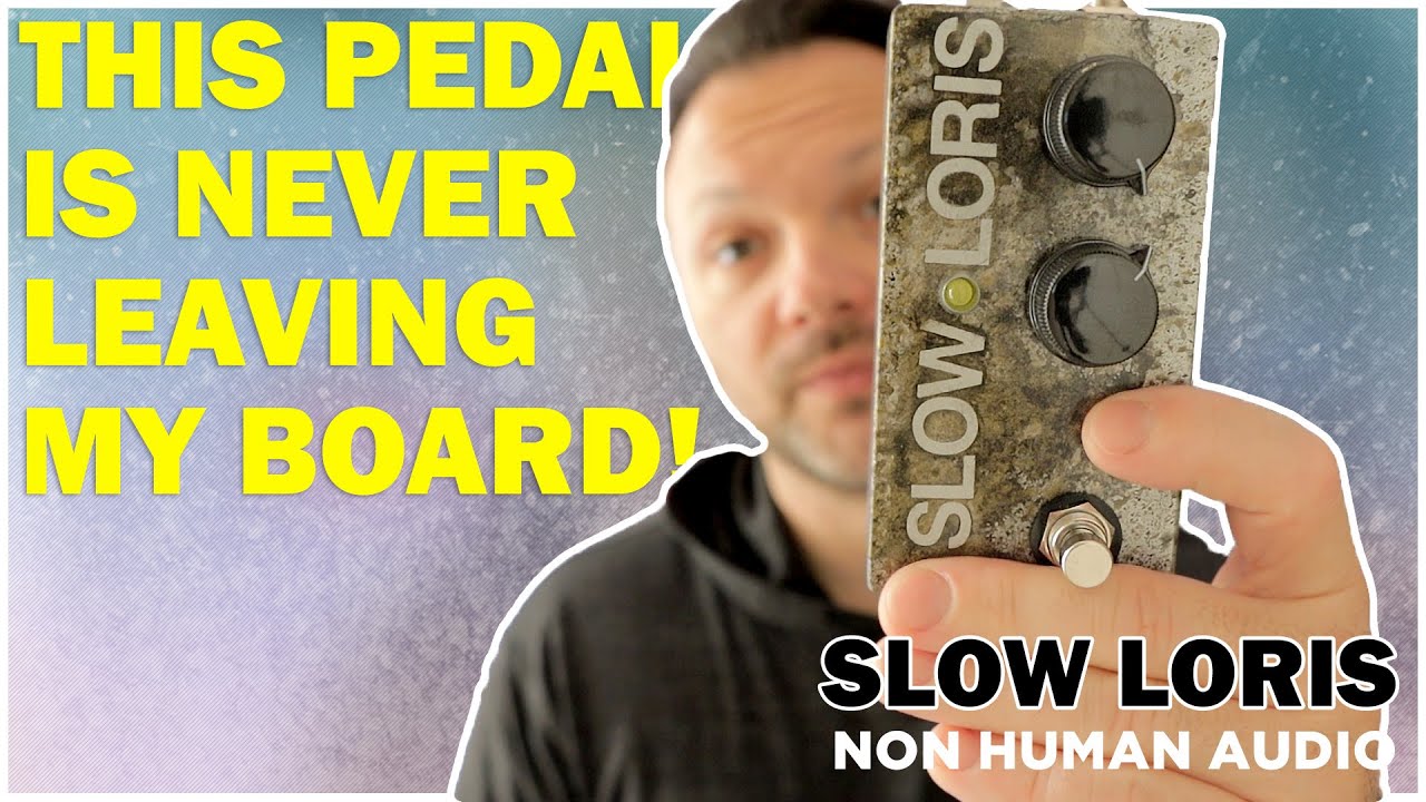 Non-Human Audio Night Creatures Delay // Full Demo - YouTube