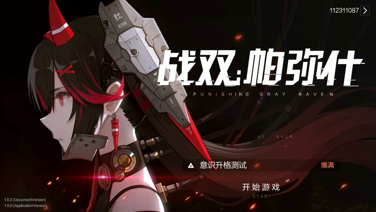 海外ゲーム】パニシング ：グレイレイヴン（PUNISHING : Gray Raven