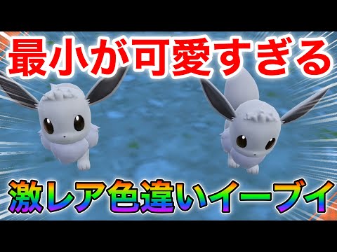 ポケモンsv厳選】小さい色違いイーブイを手に入れろ！！ - YouTube
