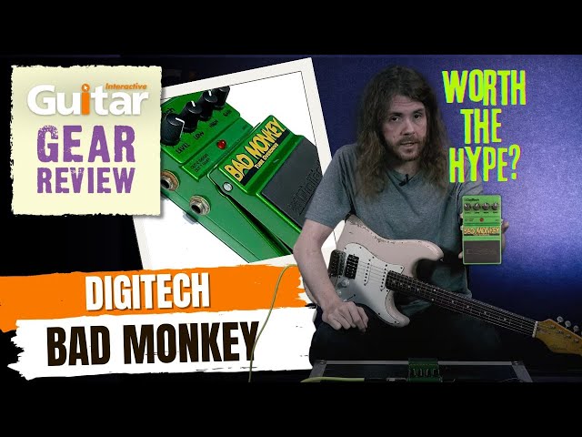 Digtech Bad Monkey | Review | Guitar Interactive - YouTube
