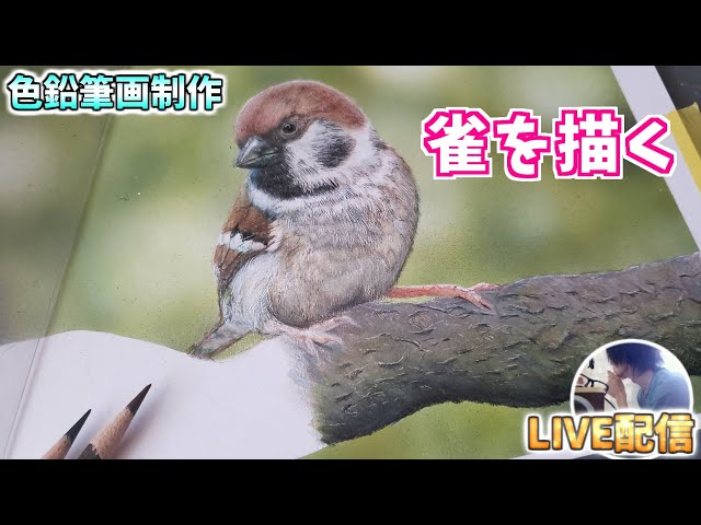 色鉛筆画イラスト制作 スズメを描く＃7 - YouTube