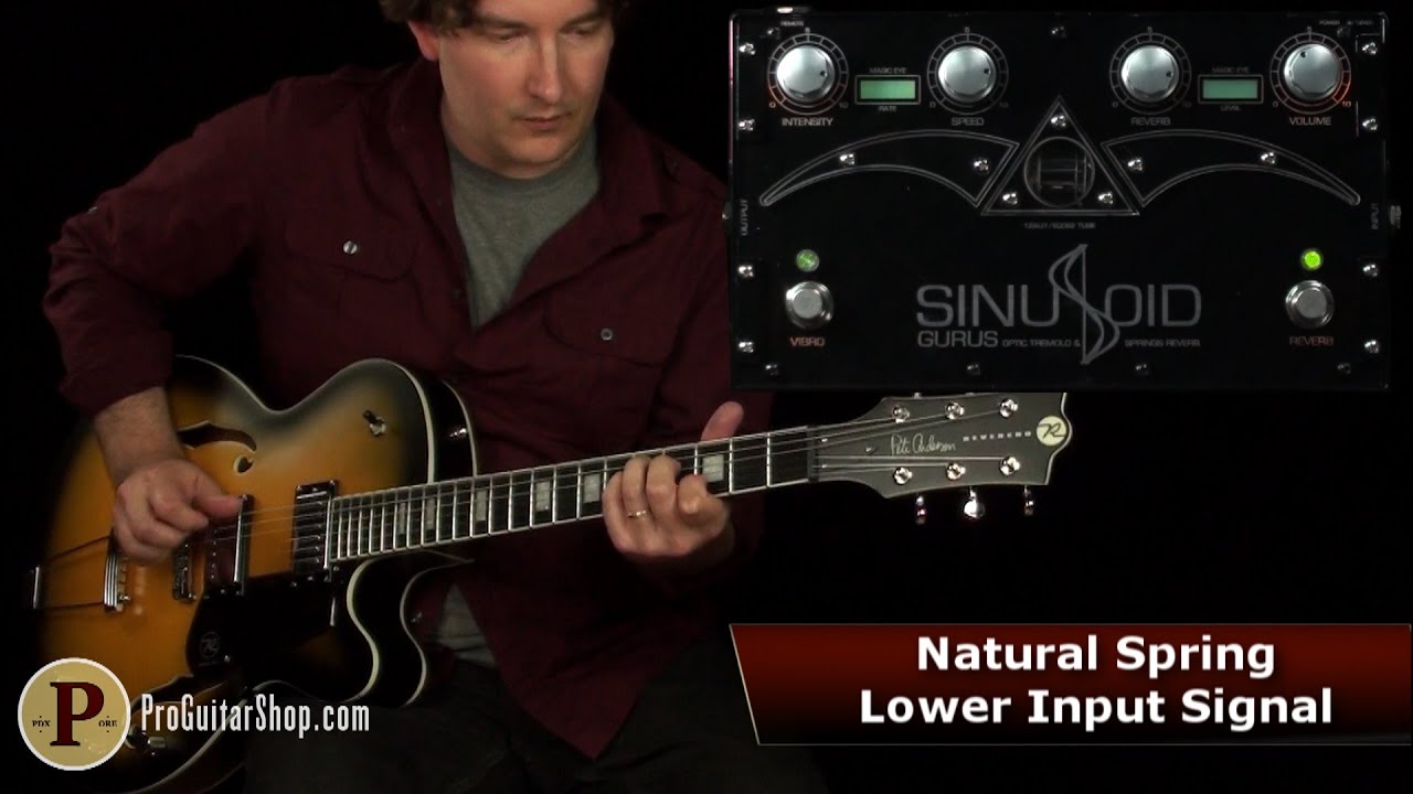 Gurus ( グル ) SINUSOID 送料無料 | サウンドハウス